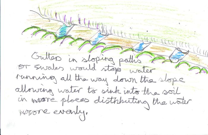 [Thumbnail for water traps in paths going down slopes..jpg]